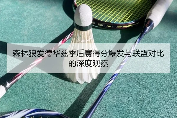 森林狼爱德华兹季后赛得分爆发与联盟对比的深度观察